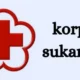 Discover Korps Sukarela: Humanitarian Excellence in Indonesia