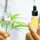 CBD and Its Health Benefits: Exploring the Potential