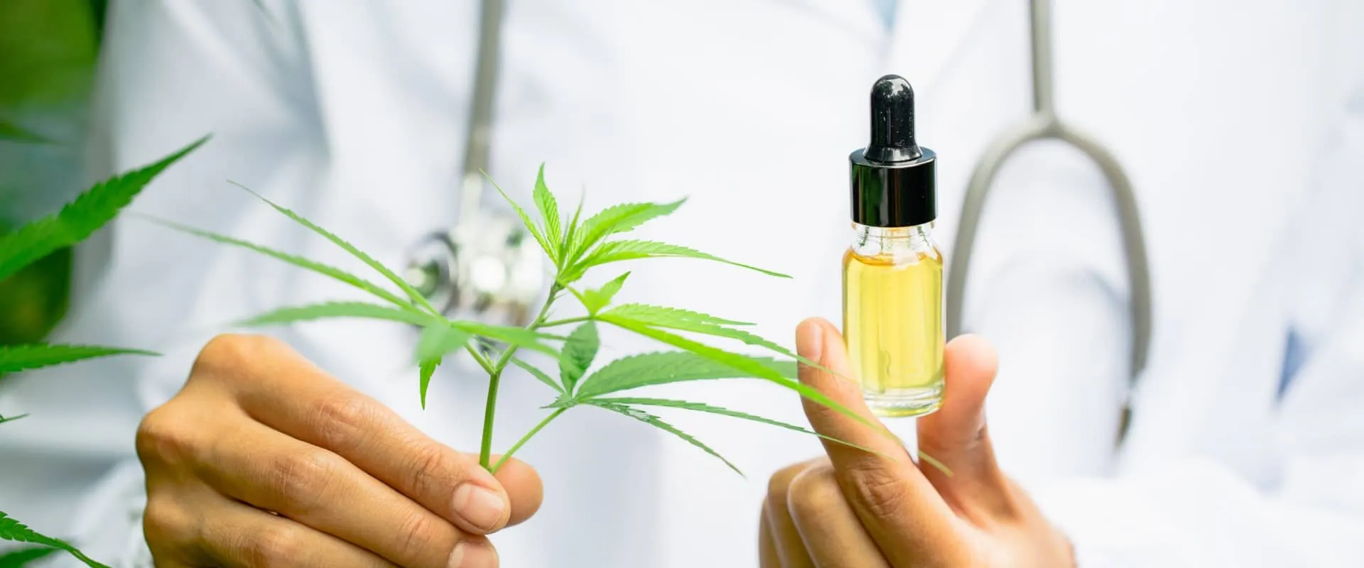 CBD and Its Health Benefits: Exploring the Potential