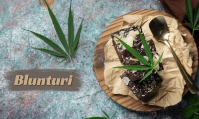 Blunturi: Unveiling the Enigmatic Concept