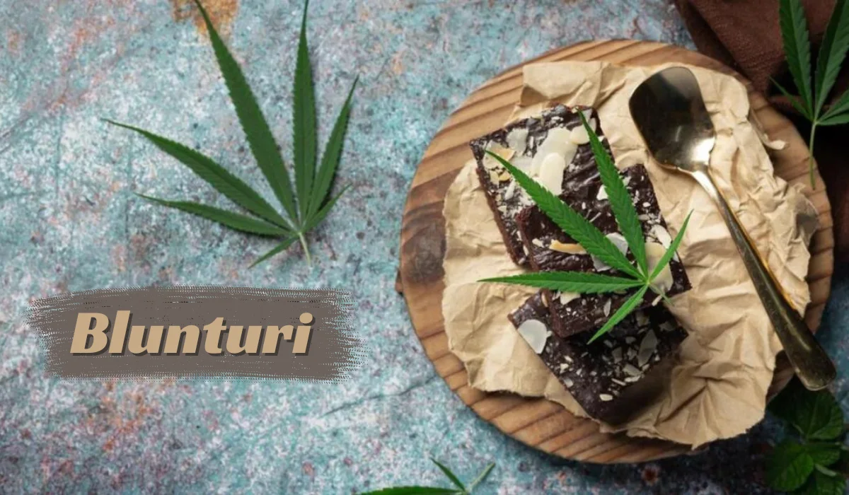 Blunturi: Unveiling the Enigmatic Concept