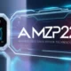 Who Can Benefit from AMZP22X?