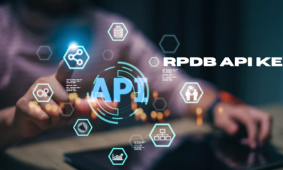 Understanding The “RPDB API Key”: A Comprehensive Guide