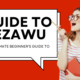 The Ultimate Beginner's Guide to Dezawu