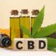 6 Health Benefits of CBD Oil — and a Look at Side Effects