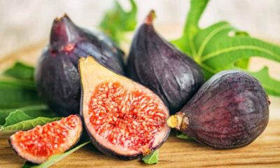 Discovering the Charm of Friday Fig: A Delightful Addition to Your Week