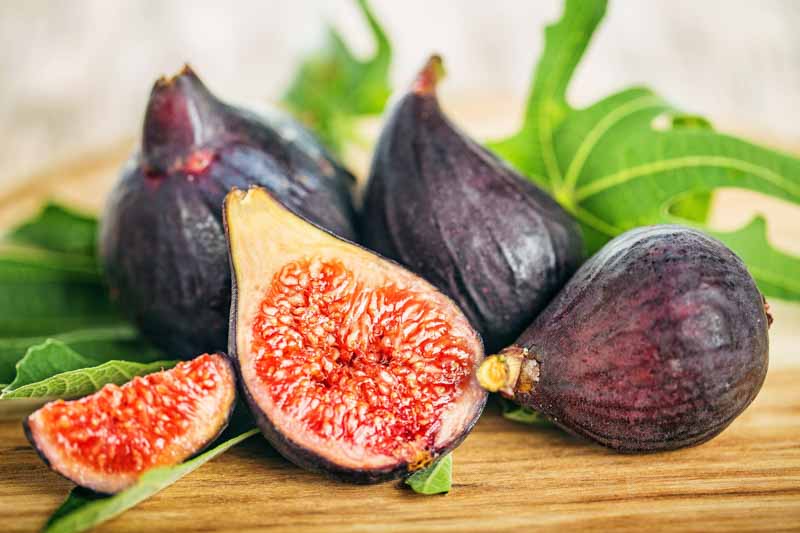 Discovering the Charm of Friday Fig: A Delightful Addition to Your Week