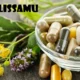 Zelissamu, health benefits, traditional uses